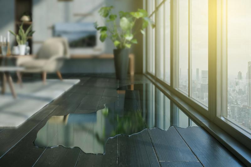 A Guide to Navigating Leaky Condo Repairs in Vancouver